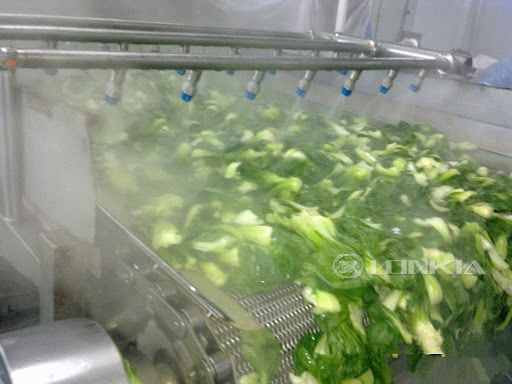 Blanching process